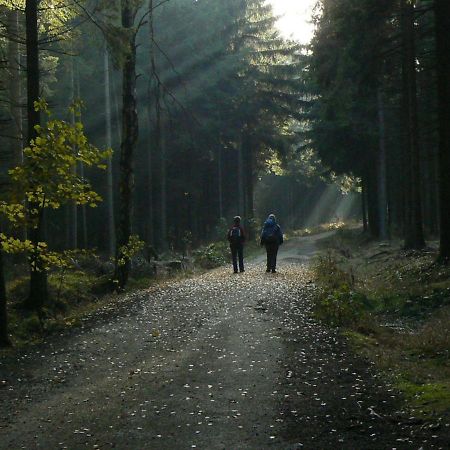 Zimmervermietung-Heide-Fiege Hartmannsdorf bei Chemnitz Экстерьер фото